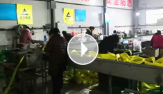 辰力吊裝帶車(chē)間新增設(shè)備：吊裝帶帶皮傳輸帶
